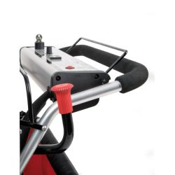 E-Turtle électrique 6 places