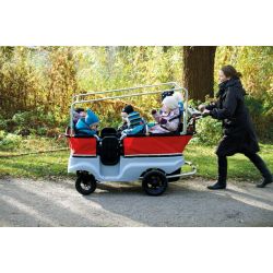 E-Turtle électrique 6 places